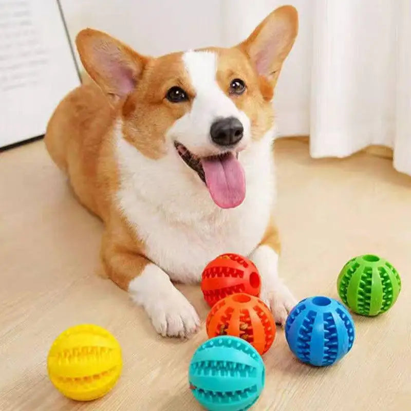 Balle à friandises en caoutchouc pour chien