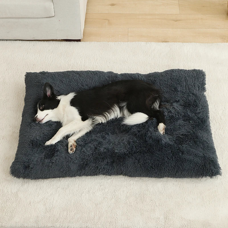Couchage moelleux pour chien en plusieurs tailles