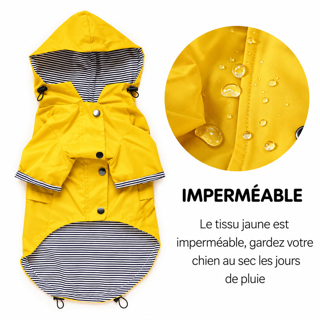  Veste jaune pour chien présentée à plat, avec doublure rayée et gros plan sur des gouttes d’eau à la surface du tissu.