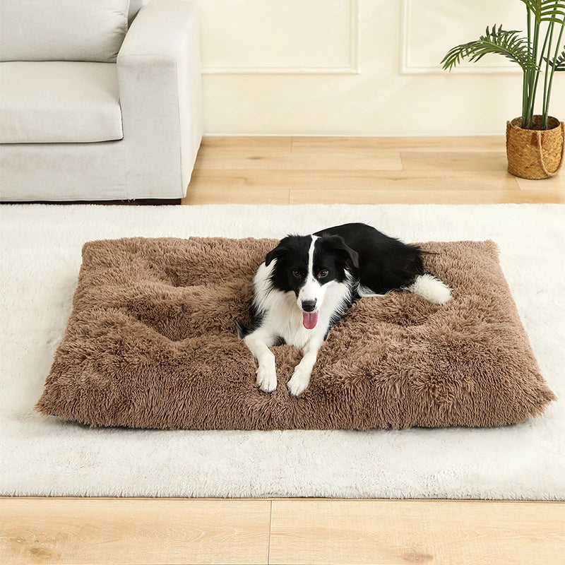 Couchage moelleux pour chien en plusieurs tailles