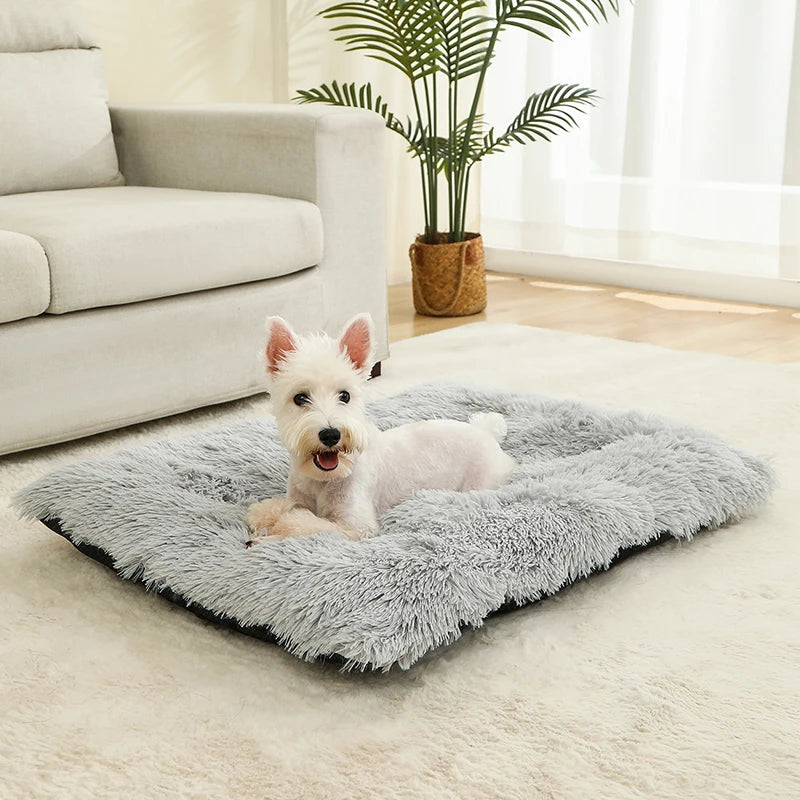 Couchage moelleux pour chien en plusieurs tailles