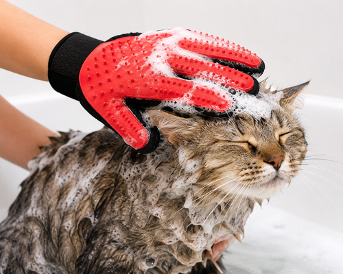 PradelSens Pets™ GroomGlove Pro