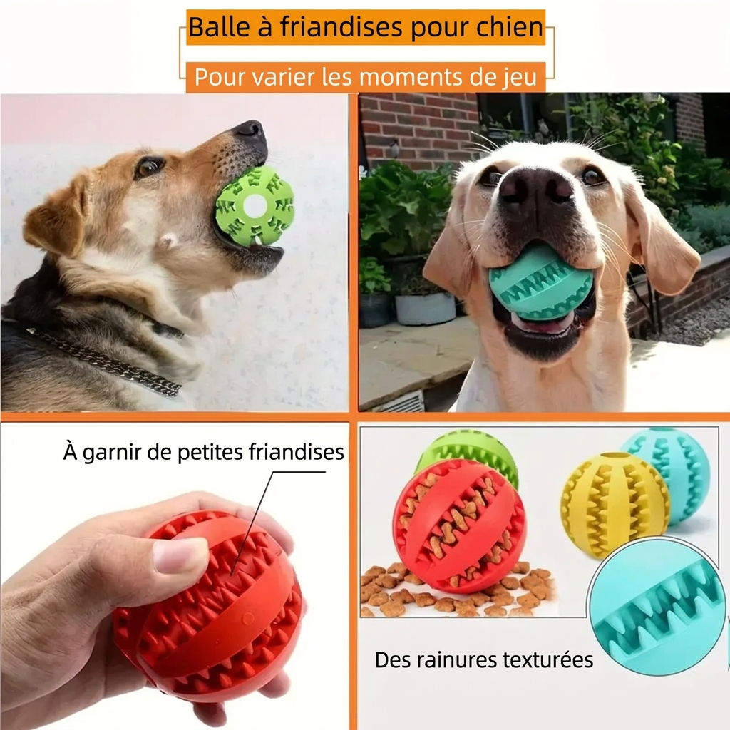 Balle à friandises pour chien, démonstration en français