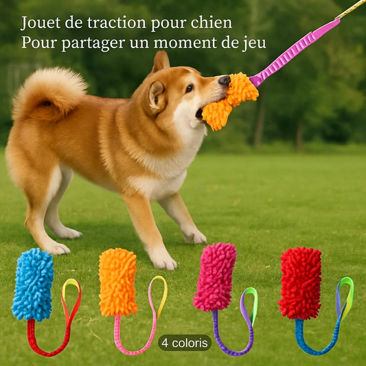Jouet de traction pour chien, présentation en français